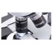Microscope Binocular Head B-159 Binocular 30° inclined 360° rotating. Eyepieces: WF10x/18 mm Optika Italy